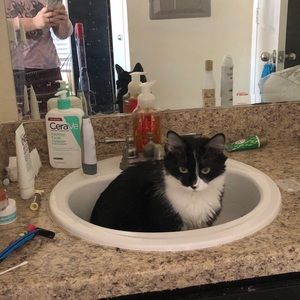 Meet your Posher, Mary